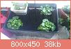        

:  DSC_0315.jpg
:  883
:  38,4 KB