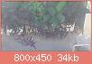         

:  DSC_0333.jpg
:  290
:  33,7 KB