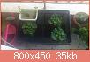         

:  DSC_0334.jpg
:  941
:  35,1 KB