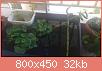         

:  DSC_0336.jpg
:  175
:  31,8 KB