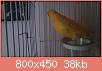         

:  DSC_0316.jpg
:  699
:  38,0 KB