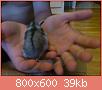        

:  DSC_0384.jpg
:  255
:  39,1 KB