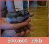         

:  DSC_0388.jpg
:  262
:  39,0 KB