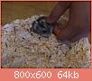         

:  DSC_0395.jpg
:  277
:  63,9 KB