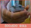         

:  DSC_0402.jpg
:  244
:  40,0 KB