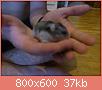         

:  DSC_0386.jpg
:  280
:  37,4 KB