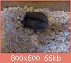         

:  DSC_0394.jpg
:  255
:  65,7 KB
