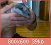        

:  DSC_0403.jpg
:  275
:  39,2 KB