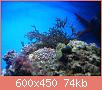         

:  DSC05626.JPG
:  446
:  73,7 KB