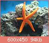         

:  DSC05646.JPG
:  422
:  94,3 KB