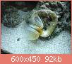         

:  DSC05654.JPG
:  442
:  92,0 KB
