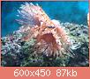         

:  DSC05669.JPG
:  507
:  86,5 KB