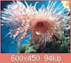         

:  DSC05679.JPG
:  475
:  93,7 KB