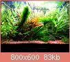         

:  uploadfromtaptalk1378928329381.jpg
:  479
:  83,1 KB