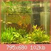         

:  IMG_37431.jpg
:  309
:  102,1 KB