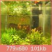         

:  IMG_37441.jpg
:  241
:  100,6 KB