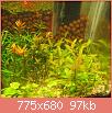         

:  IMG_37451.jpg
:  271
:  97,1 KB