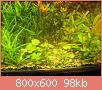         

:  IMG_37471.jpg
:  242
:  97,9 KB
