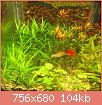         

:  IMG_37481.jpg
:  267
:  103,8 KB