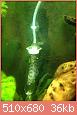         

:  ImageUploadedByTapatalk1380132535.553210.jpg
:  445
:  36,1 KB