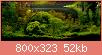         

:  dsc2877y.jpg
:  360
:  51,8 KB