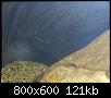         

:  synodontis1.JPG
:  234
:  121,4 KB