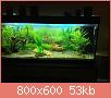         

:  IMG_0393.jpg
:  809
:  52,9 KB