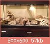         

:  ImageUploadedByTapatalk HD1382037748.360502.jpg
:  331
:  56,6 KB
