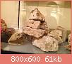         

:  ImageUploadedByTapatalk HD1382037797.893076.jpg
:  313
:  61,1 KB