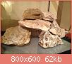        

:  ImageUploadedByTapatalk HD1382037876.021548.jpg
:  310
:  62,0 KB