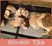         

:  ImageUploadedByTapatalk HD1382037961.720537.jpg
:  306
:  71,6 KB