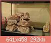         

:  ImageUploadedByTapatalk1382374008.155838.jpg
:  358
:  291,5 KB