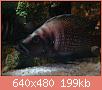         

:  DSC01689.JPG
:  331
:  199,4 KB