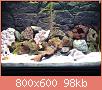         

:  DSC01955.jpg
:  336
:  98,2 KB
