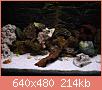         

:  DSC01948.JPG
:  309
:  214,2 KB