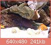         

:  DSC01956.JPG
:  296
:  241,2 KB