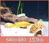         

:  DSC01958.JPG
:  335
:  152,9 KB