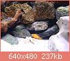         

:  DSC01959.JPG
:  312
:  236,9 KB