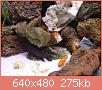         

:  DSC01960.JPG
:  285
:  275,4 KB