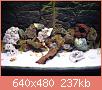         

:  DSC01962.JPG
:  318
:  236,6 KB