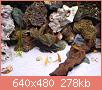         

:  DSC01963.JPG
:  292
:  277,7 KB