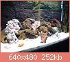         

:  DSC01965.JPG
:  265
:  251,9 KB
