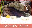         

:  DSC01967.JPG
:  296
:  218,0 KB
