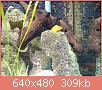         

:  DSC01973.JPG
:  305
:  309,4 KB