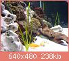         

:  DSC01975.JPG
:  263
:  237,8 KB