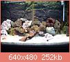         

:  DSC01976.JPG
:  272
:  251,7 KB