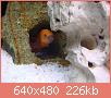         

:  DSC01978.JPG
:  267
:  226,1 KB