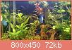         

:  DSC_0165.jpg
:  427
:  72,1 KB