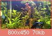         

:  DSC_0164.jpg
:  401
:  70,3 KB
