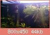         

:  DSC_0148.jpg
:  502
:  44,2 KB